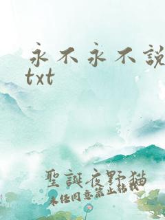 永不永不说再见txt