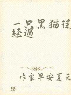 一只黑猫从眼前经过