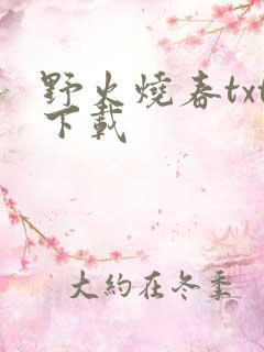 野火烧春txt下载