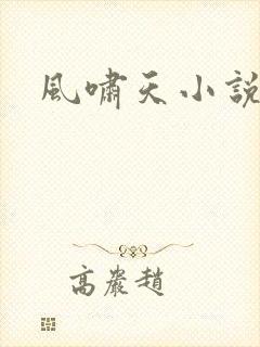 风啸天小说