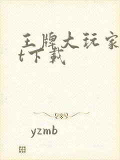 王牌大玩家txt下载