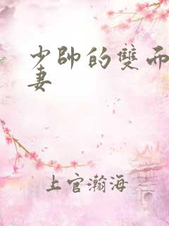 少帅的双面小娇妻