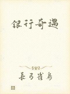 银行奇遇