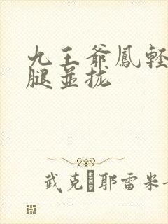 九王爷凤轻尘把腿并拢