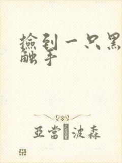 捡到一只黑心小触手