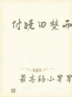 付晓田双面间谍