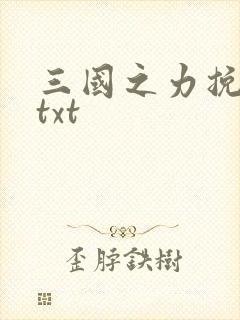 三国之力挽狂澜txt