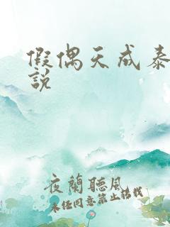 假偶天成泰剧小说