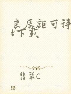 良辰讵可待txt下载