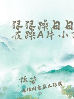 狠狠躁日日躁夜夜躁A片小说