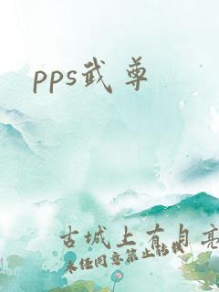pps武尊