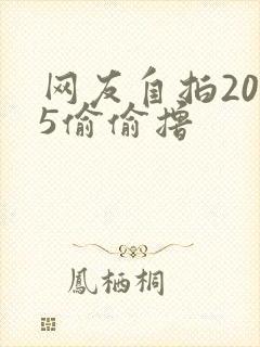 网友自拍2015偷偷撸