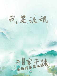 我是流氓