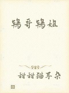 鸨哥鸨姐