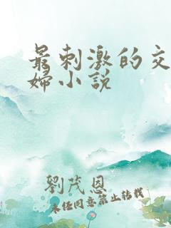 最刺激的交换夫妇小说