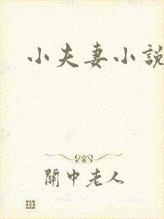 小夫妻小说