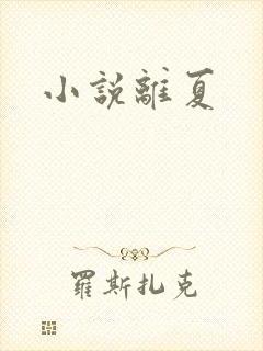 小说离夏
