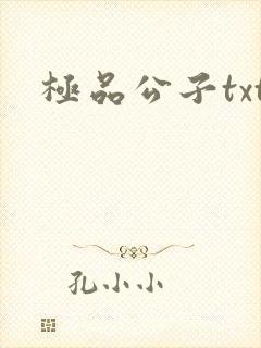 极品公子txt