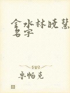 金水林晓慧小说名字