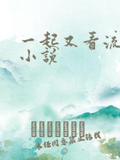 一起又看流星雨小说