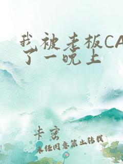 我被老板CAO了一晚上