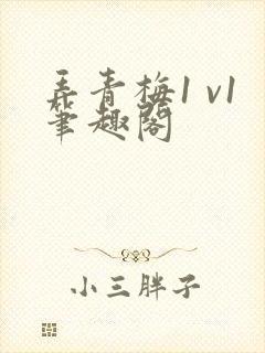 弄青梅1 v1笔趣阁