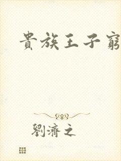 贵族王子穷公主