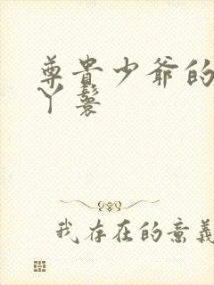 尊贵少爷的大牌丫鬟