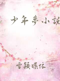 少年梦小说