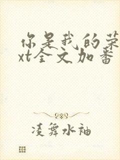 你是我的荣耀txt全文加番外