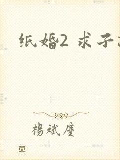 纸婚2 求子记
