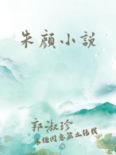 朱颜小说