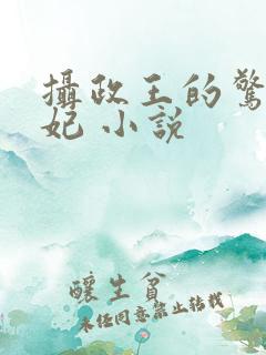 摄政王的惊世嫡妃 小说