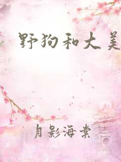 野狗和大美人