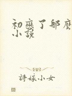 初恋了那么多年小说