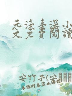 元浅秦深小说全文免费阅读