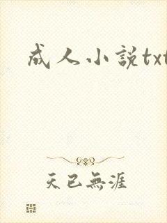 成人小说txt