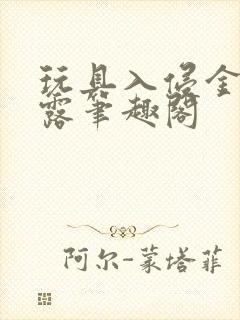 玩具入侵金银花露笔趣阁