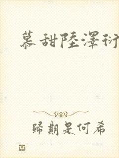 慕甜陆泽衍小说