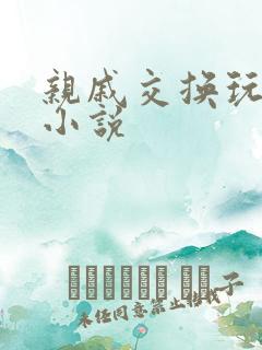 亲戚交换玩美妇小说