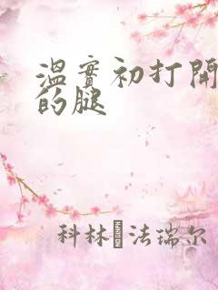 温实初打开眉庄的腿