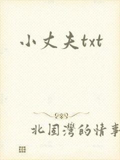 小丈夫txt