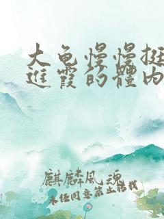 大龟慢慢挺进王进霞的体内