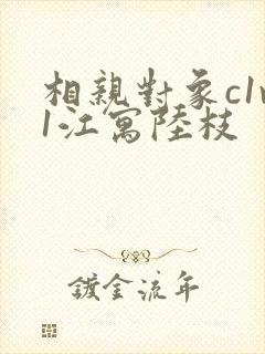 相亲对象c1v1江寓陆枝