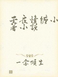 子夜情缠小说原著小说