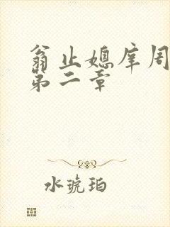 翁止媳庠周梦莹第二章