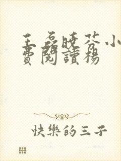 王磊晓芬小说免费阅读杨