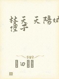 林天 天阳城 傻子