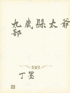 九岁县太爷第2部