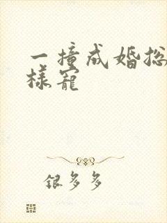 一撞成婚总裁花样宠